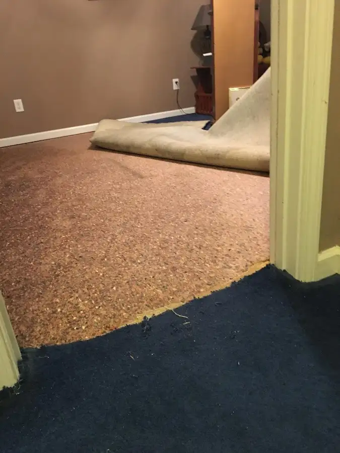 Carpet pad removal revealing water damage during Drying & Dehumidification in Zachary
