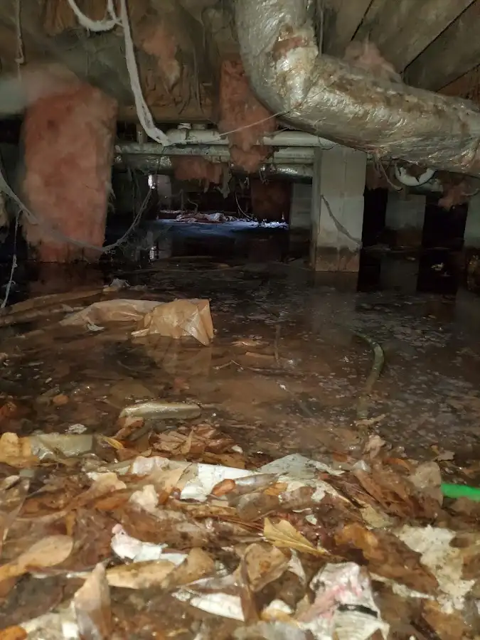 Crawl space flood assessment for Leak Detection & Repair in Zachary