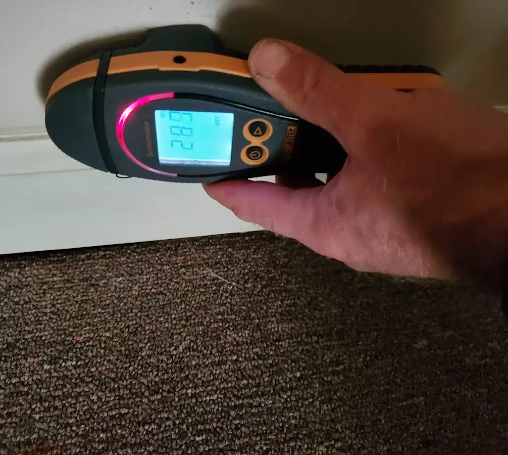Moisture detection at baseboard during Sewage Cleanup & Sanitation in Zachary